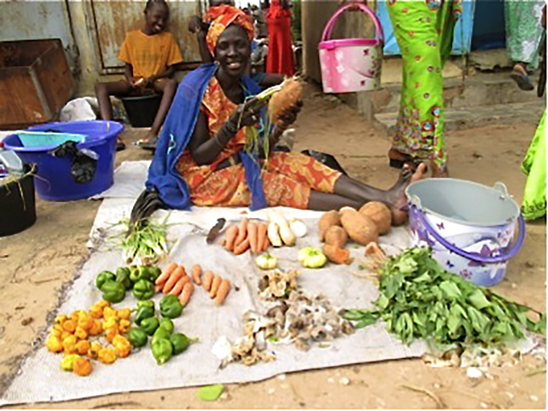 Sokhna Diop reflects on fighting poverty in rural Senegal