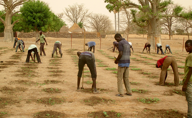 Climate change and rural Senegal