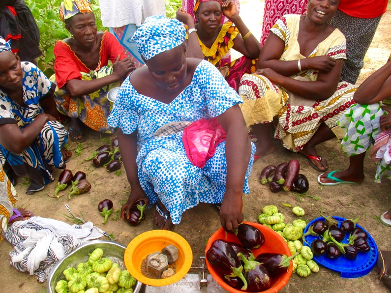 Harvesting vegetables for Soupoukandia