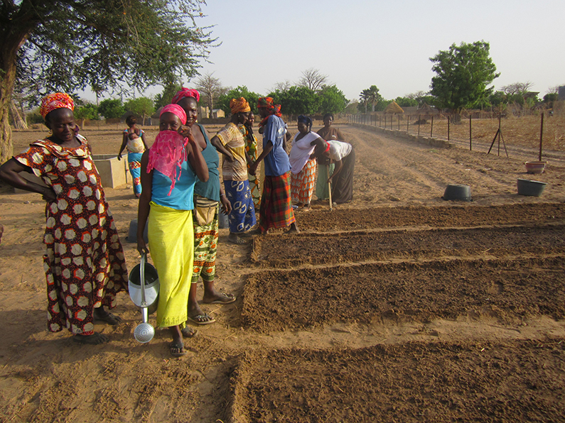 Women in Keur Daouda learn how to prepare planting beds in their new garden sites.