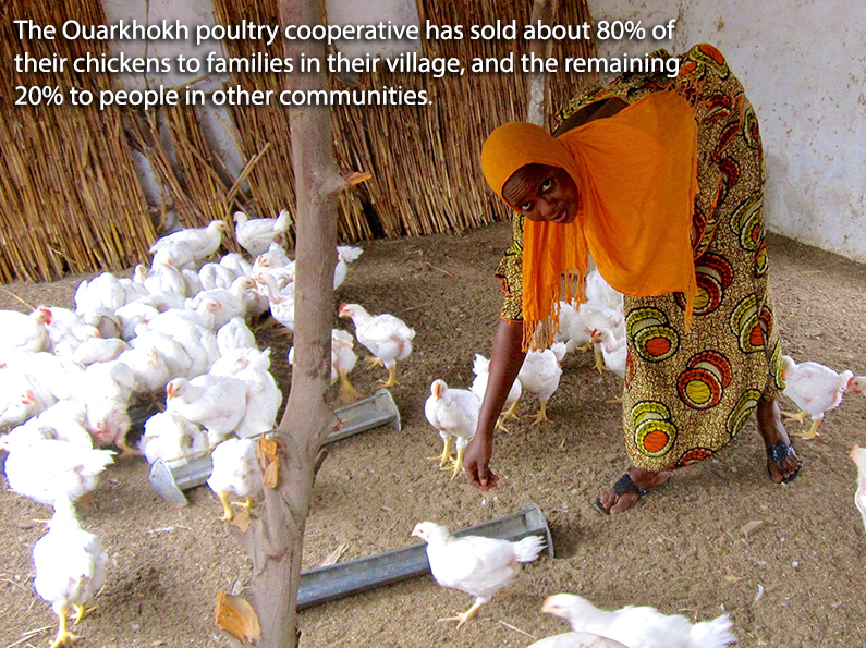 Creating a Market for Poultry