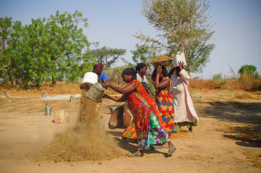 Photo Highlights from Senegal: Women in Diender maintain the garden's compost Photo Highlights from Senegal: Women in Diender maintain the garden's compost