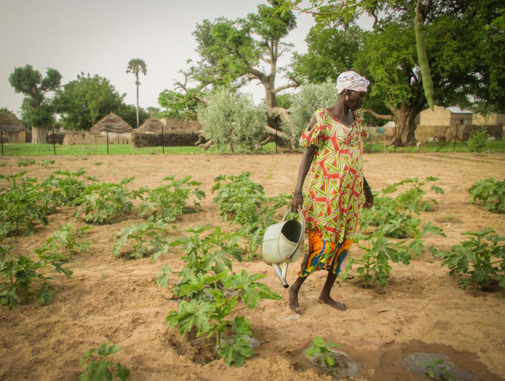 Ndeye has seen an improvement in her living conditions through CREATE!'s programs Ndeye has seen an improvement in her living conditions through CREATE!'s programs