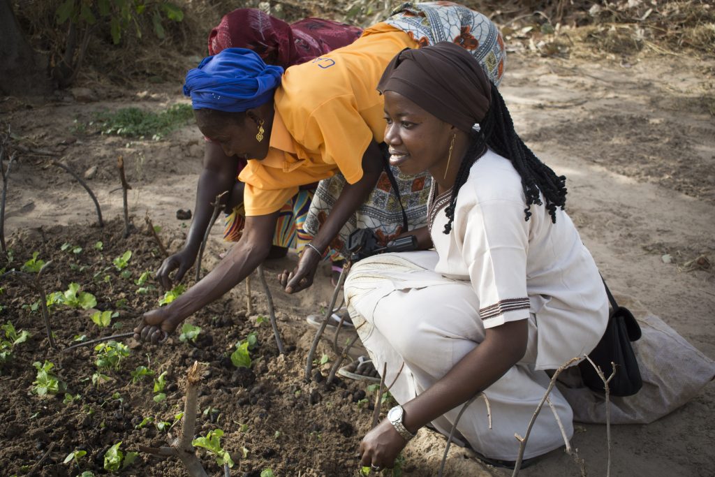 International Women's Day - Codou Gadji