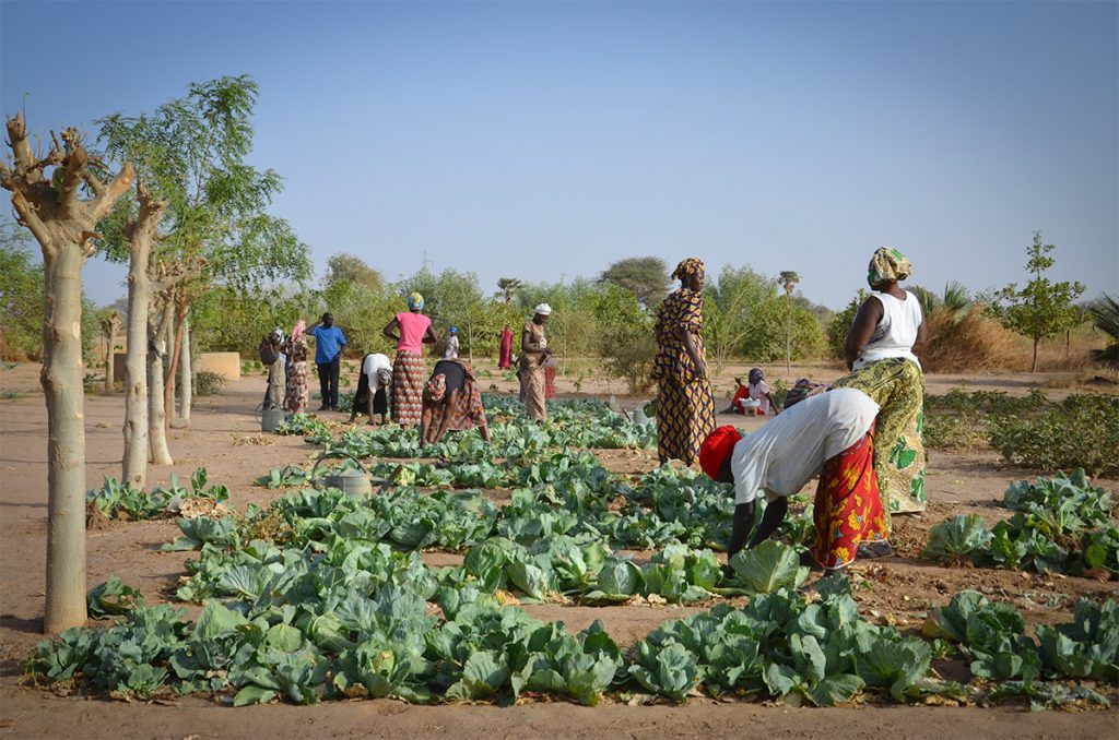 2017 Annual Impact Report