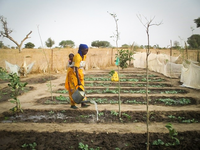 Empowerment in self sufficiency Arame finds empowerment in self sufficiency