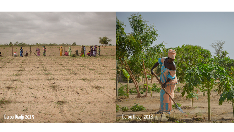 Planting for the Future