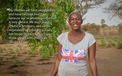 Surprising Benefits of a Community Garden in Senegal