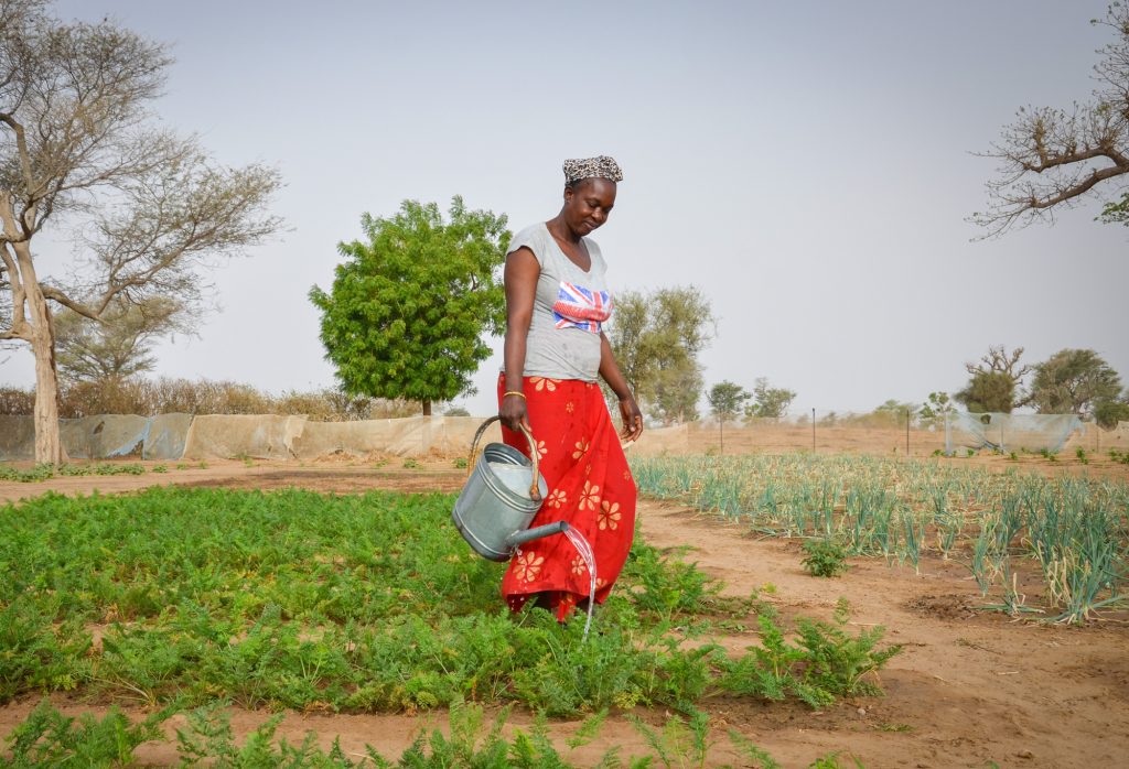 Benefits of a community garden in Senegal