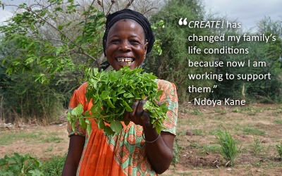 Community Gardening in Rural Senegal