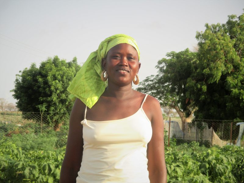 Sustainable Cookstoves