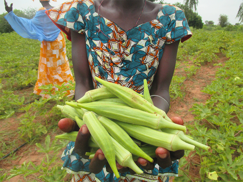 fuel efficient cookstoves
