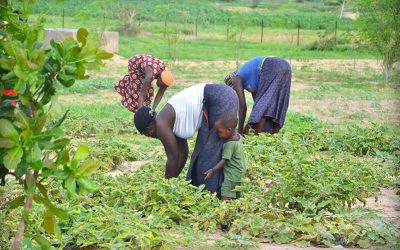 Engaging Rural Villages in Environmental Protection Projects