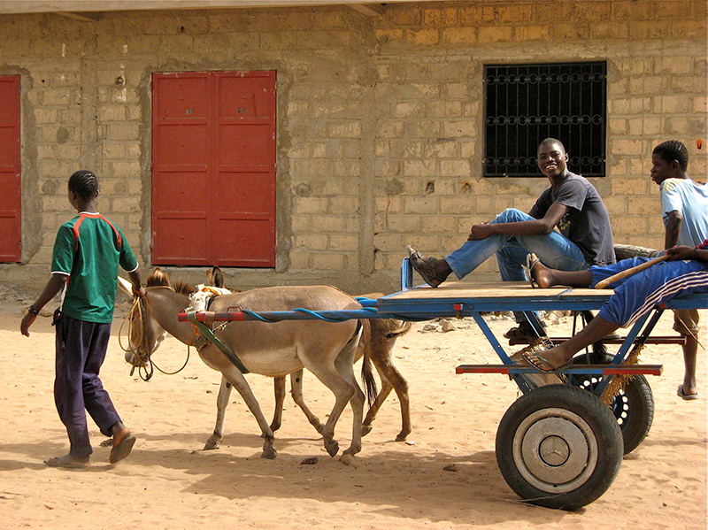 magal de Touba