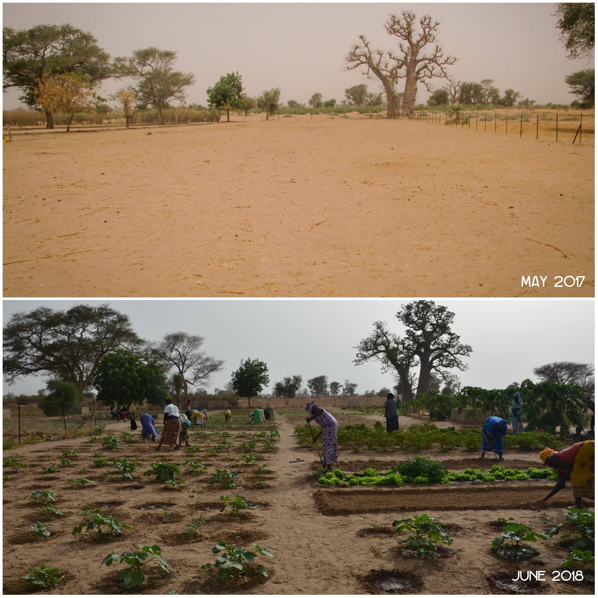 water access in Senegal