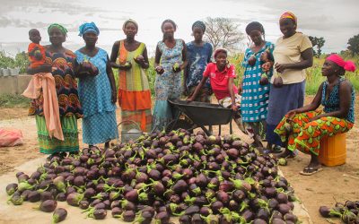 Taking Care of Their Neighbors: Developing Food Security in Senegal