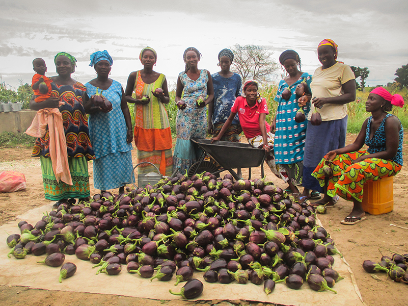 food security in Senegal