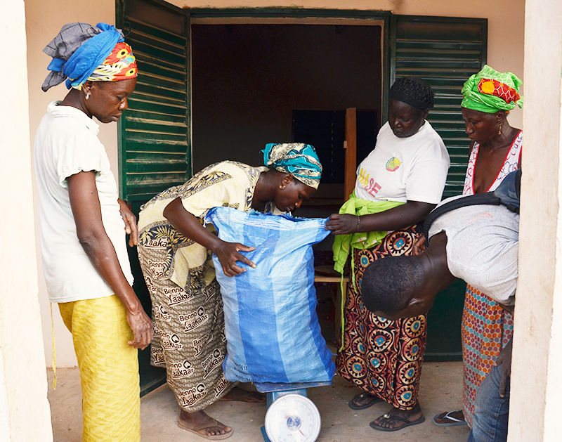 food security in Senegal