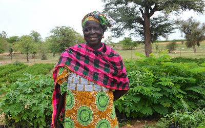 Developing Self-Sufficiency for Rural Communities in Senegal
