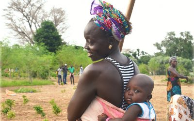 Fall Photo Highlights: Maintaining Dry Season Gardens