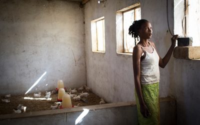 Village Benefits of Raising Poultry