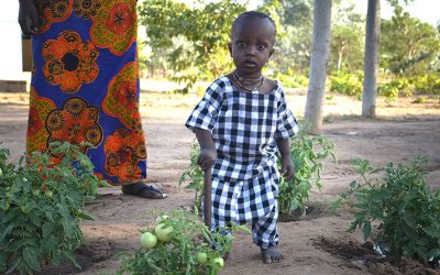 Passing on New Knowledge to the Next Generation