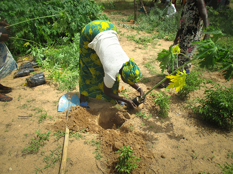 ImprovedCookstove