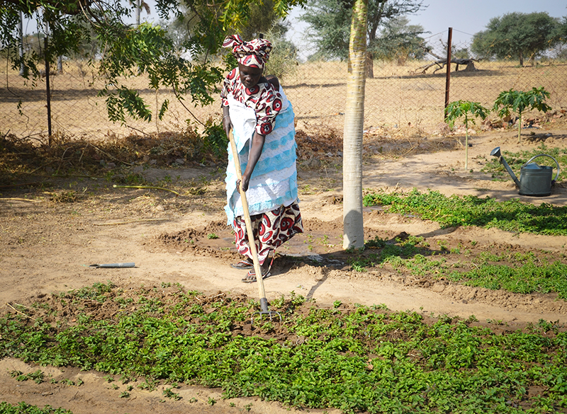 sustainability projects