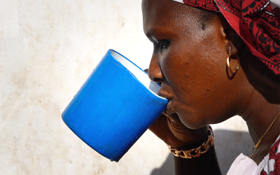 Celebrating World Water Day in Senegal