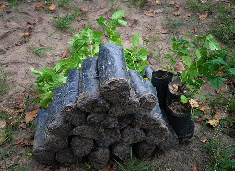 improved cookstove