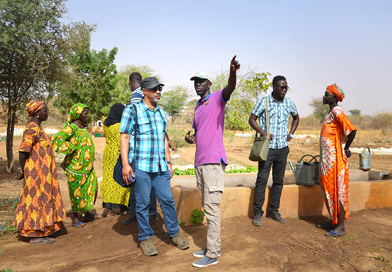 senegal ngo