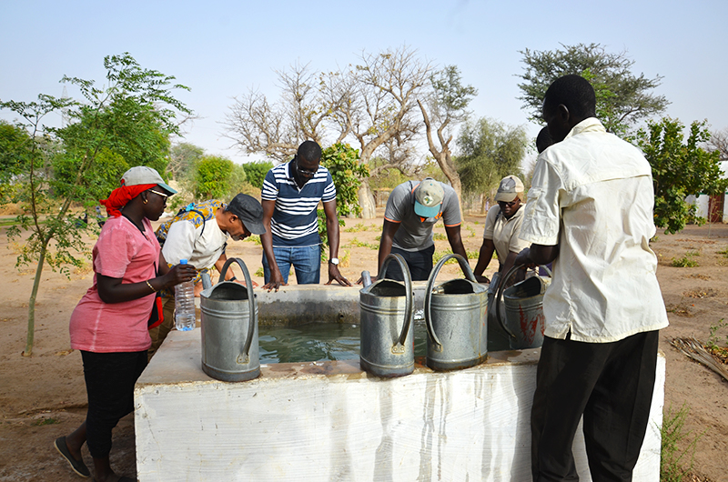 senegal ngo