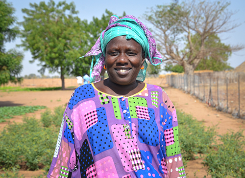 reforestation Senegal