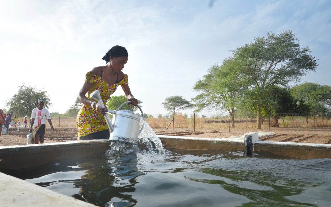 Supporting the UN Sustainable Development Goals in Senegal