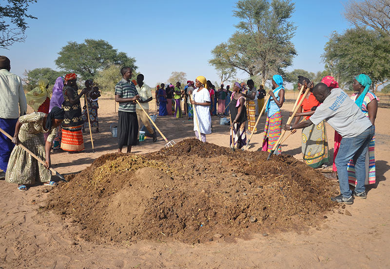 How Can We Develop a Circular Economy in Rural Senegal?