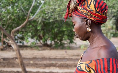 Combating Climate Change in Africa