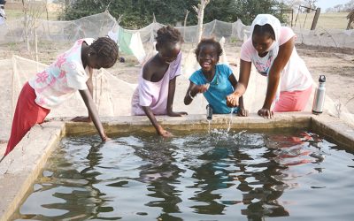 CREATE!’s Solar Water Pumps: Bringing Life to the Desert