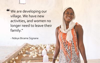 Increasing Food Security with Poultry Raising Projects