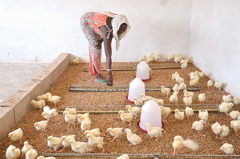 increasingfoodsecurity