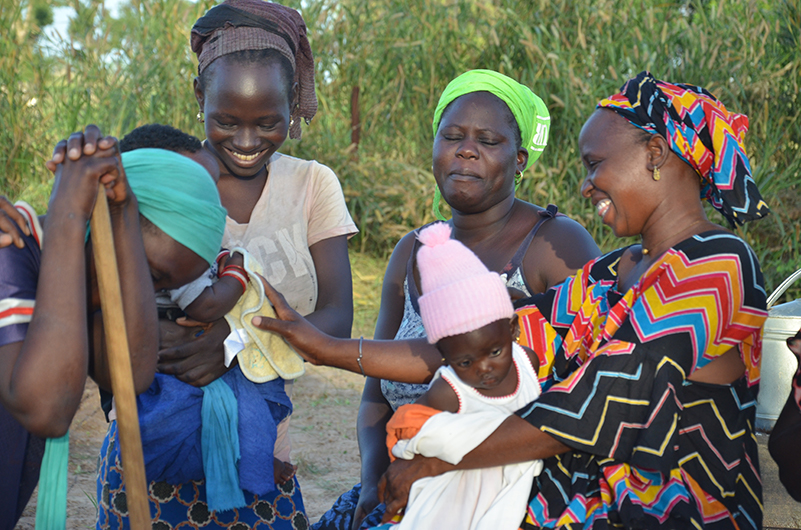 Senegalculture