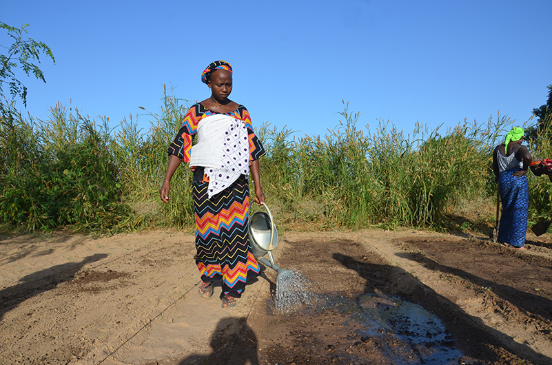 Senegalculture