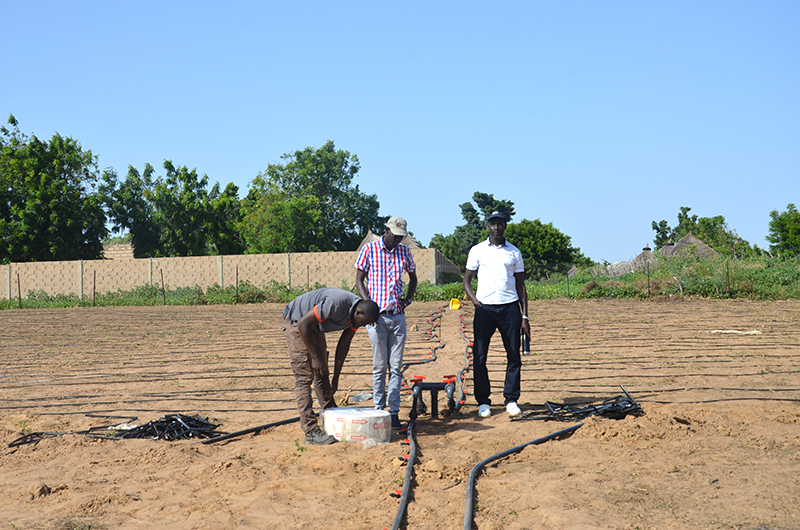 solarwaterpump
