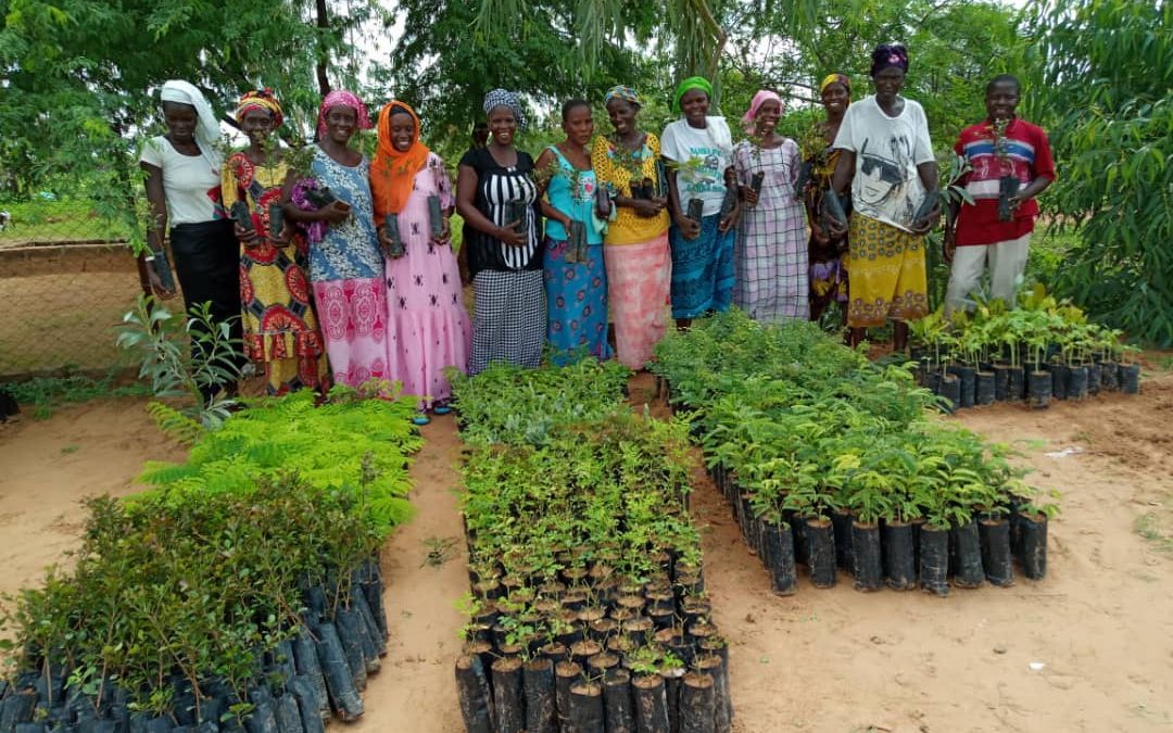 Planting Trees for the Future