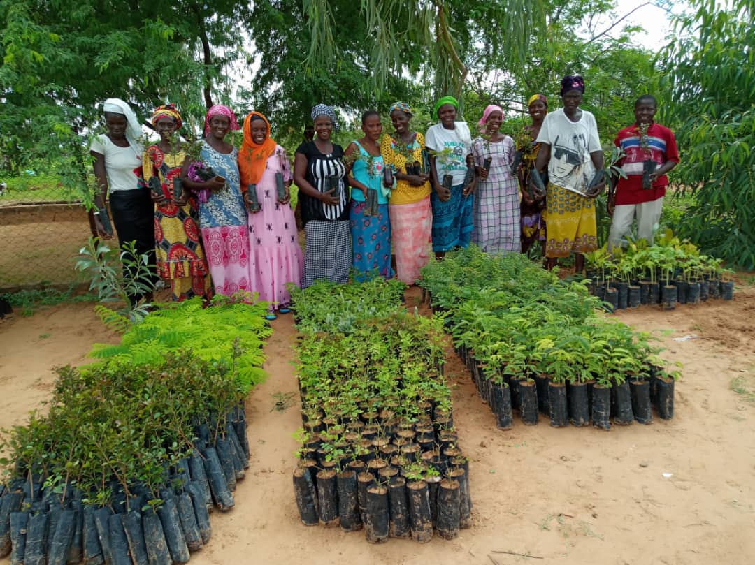 Planting Trees for the Future Sustainable Solutions in Rural Senegal