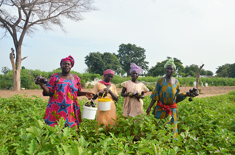 Africanclimate