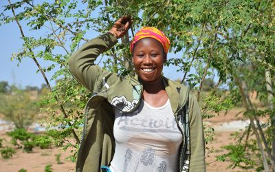 A Participatory Approach to Sustainable Development