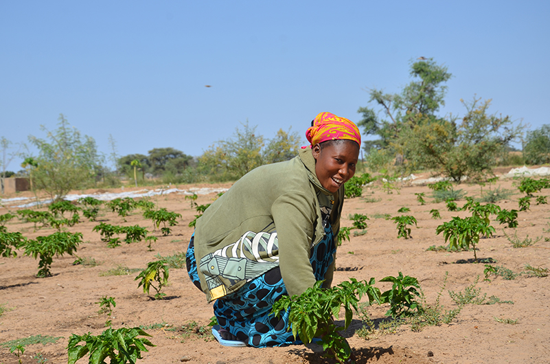 sustainabledevelopment