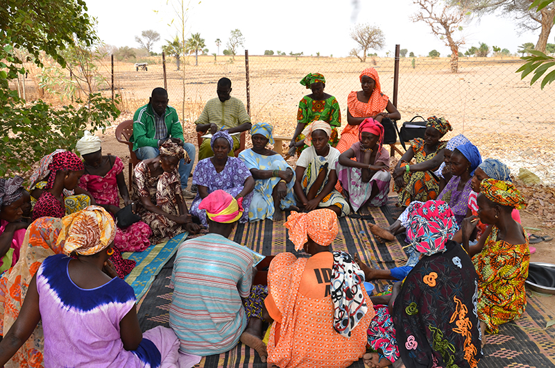 Decreasing Rural Migration in Senegal: An Interview with President Diop