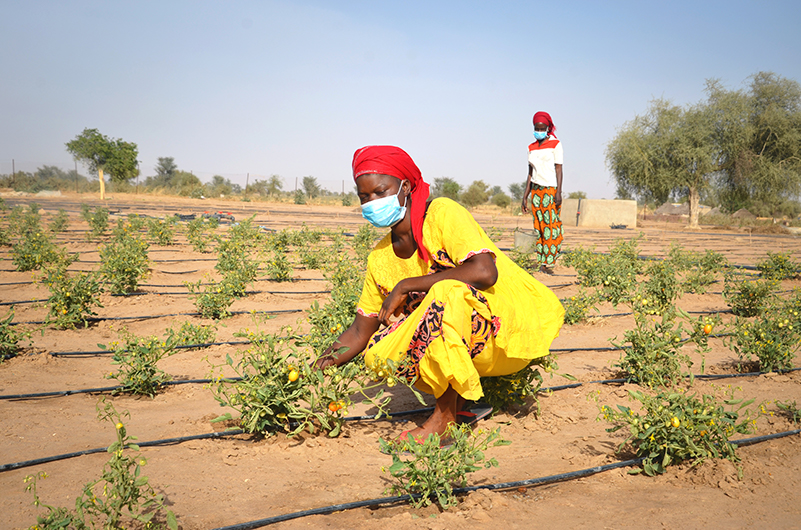 communityresilience