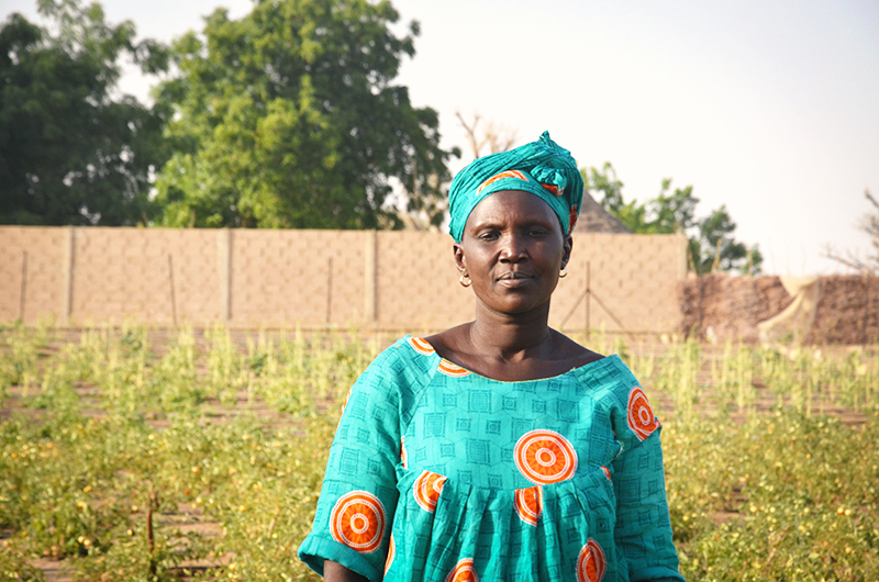 Mbossedji’s First Tree-Planting Campaign